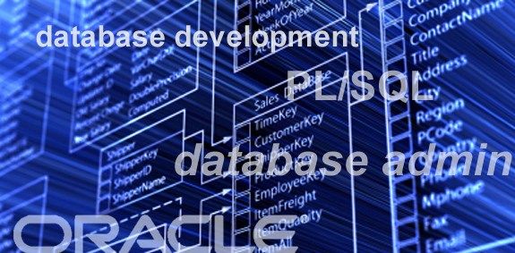 Administration of Databases Management Systems